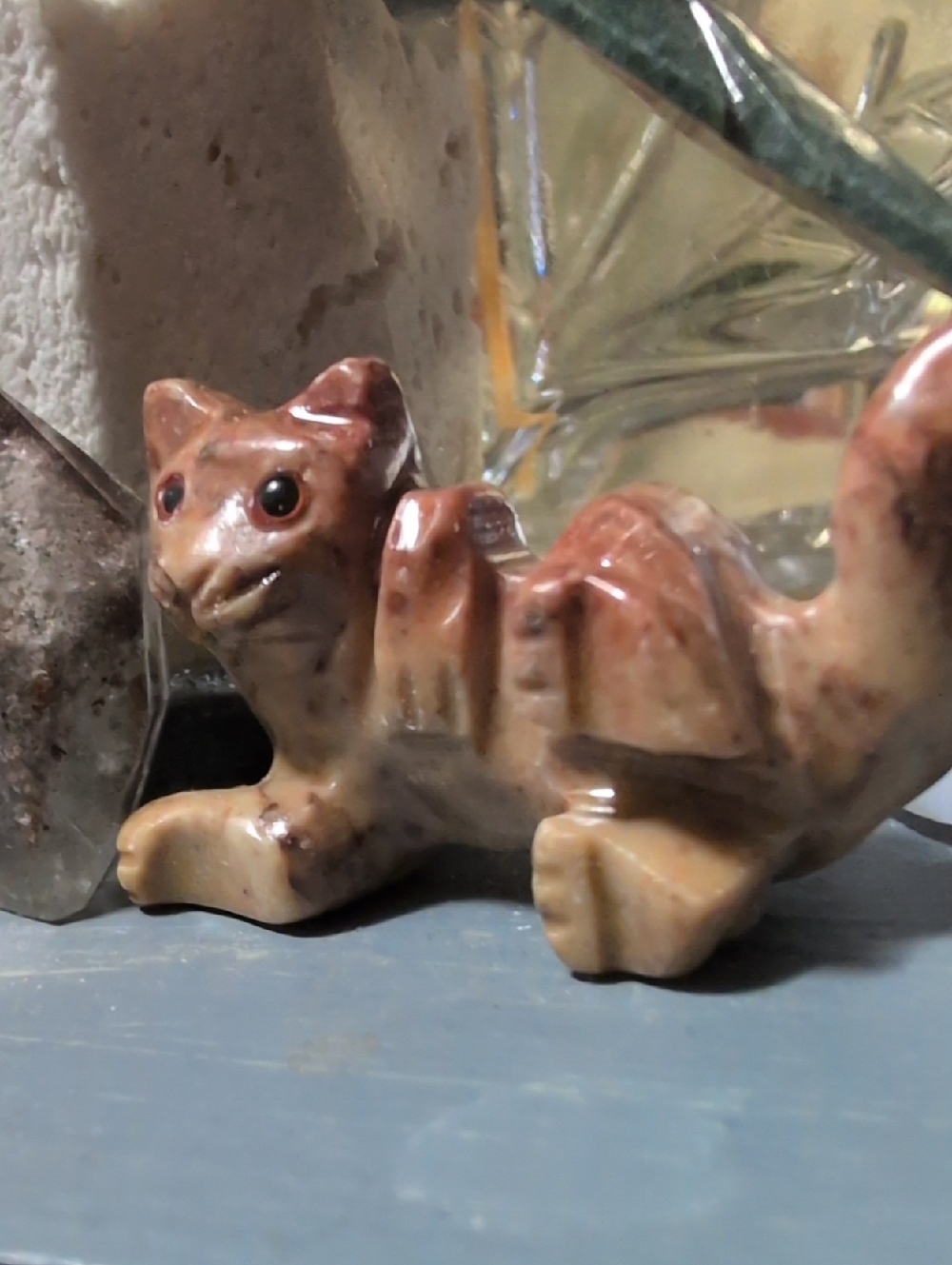 Tiny kitty cherry creek jasper